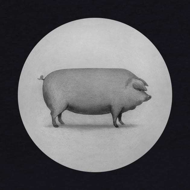 Perfect Pig circle by Terry Fan